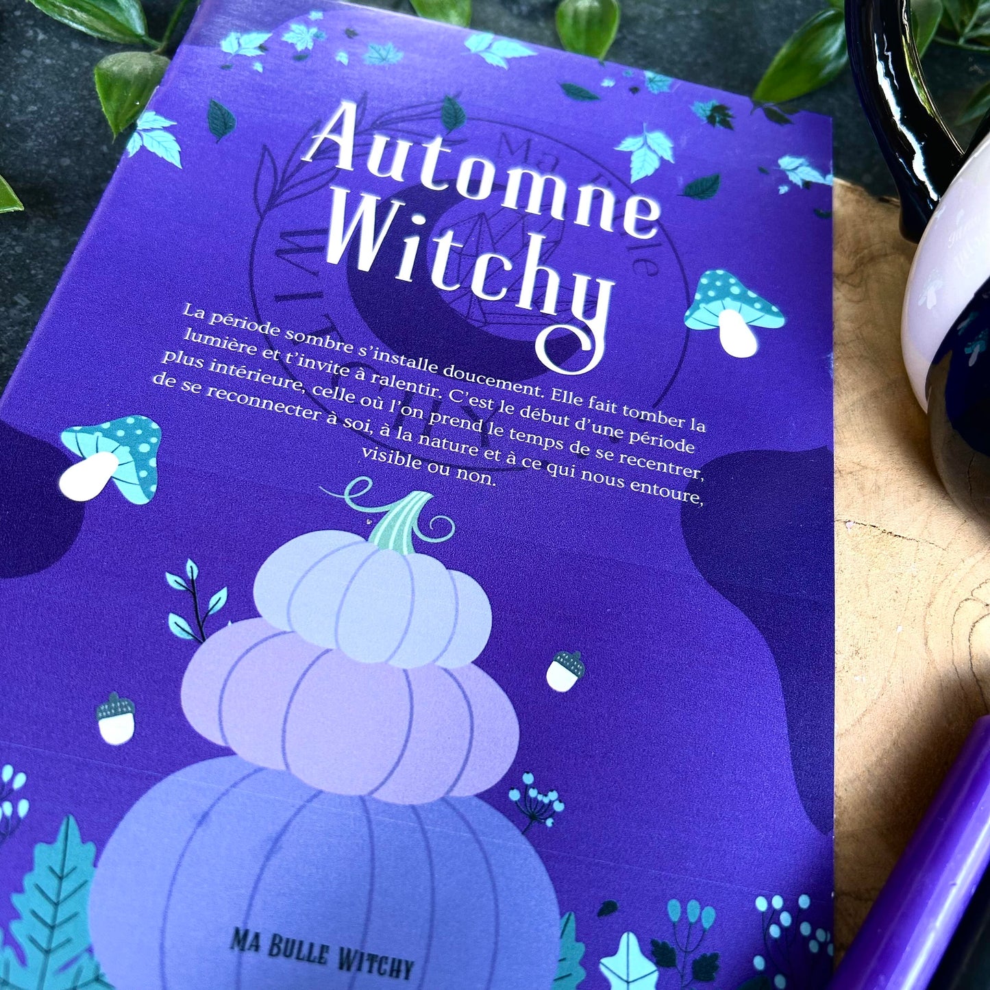 BOX AUTOMNE WITCHY