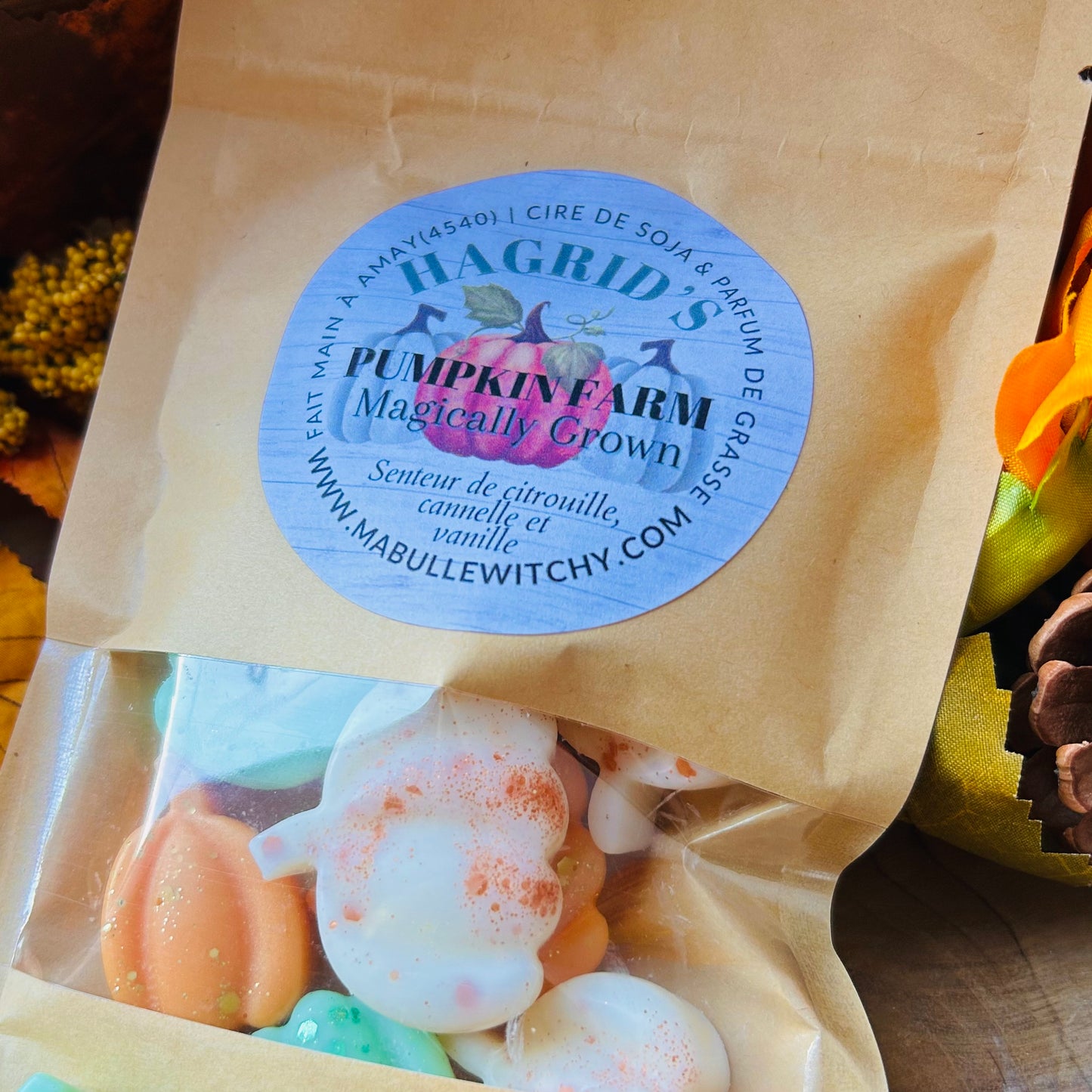FONDANTS HAGRID'S PUMPKIN FARM - Citrouille et cannelle