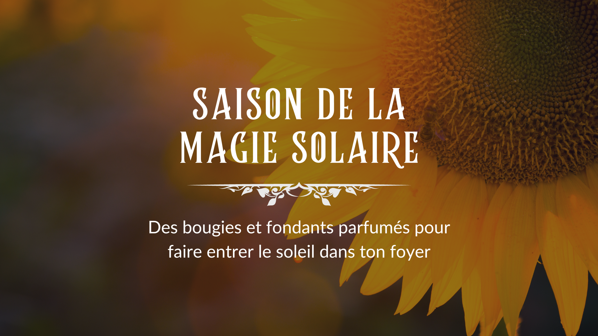 SAISON DE LA MAGIE SOLAIRE