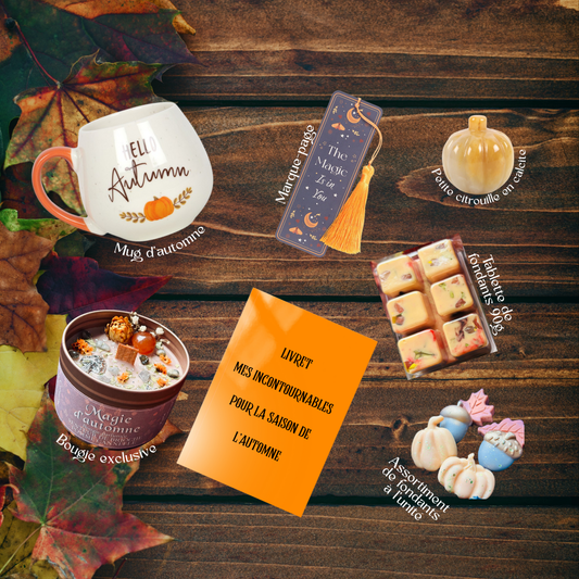 PRECOMMANDE BOX AUTOMNE COSY