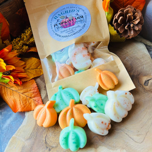 FONDANTS HAGRID'S PUMPKIN FARM - Citrouille et cannelle